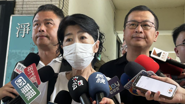 陳佩琪(中) 陳佩琪(中)