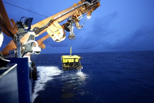 “海琴”號 “海琴”號