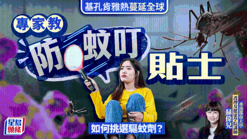 基孔肯尼亞熱蔓延全球 基孔肯尼亞熱蔓延全球