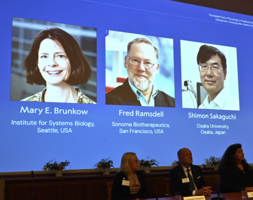 諾貝爾失聯 諾貝爾失聯