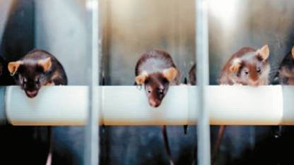 New_Project_9_ New_Project_9_